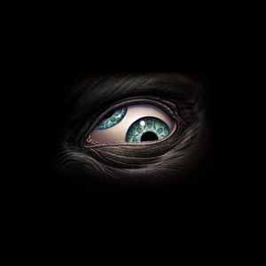 Meet your Posher, Derrick